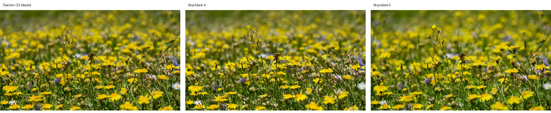 Teacher, block-4 identity bypass, and block-5 identity bypass, left to right: Generate an image of an alpine flower meadow. Style: candid photo, natural light.